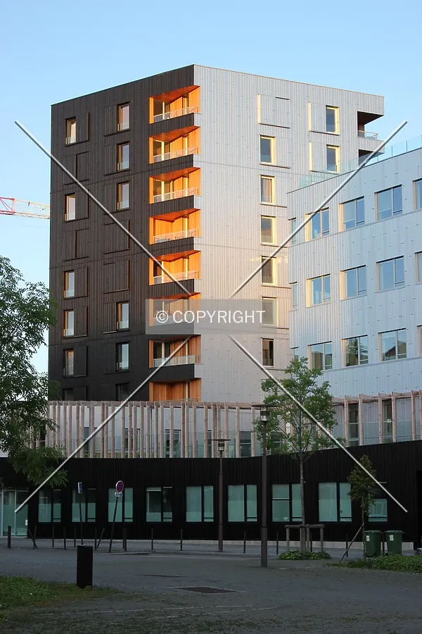 North view from Rue René Viviani.