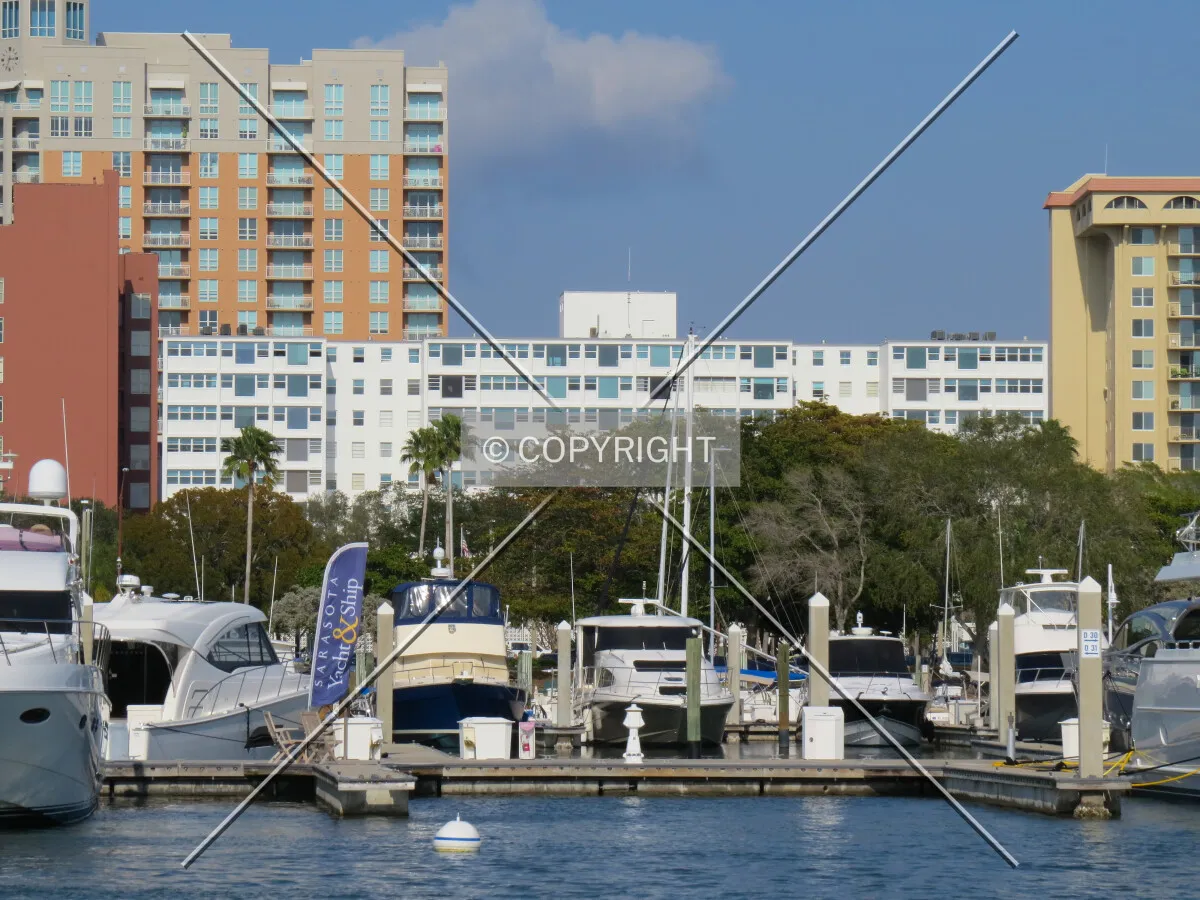 View to the northeast from Island Park