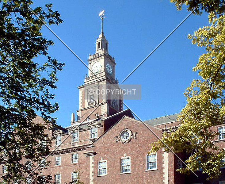 Photo 083-602-335