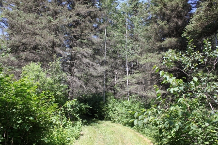 Riding Mountain National Park