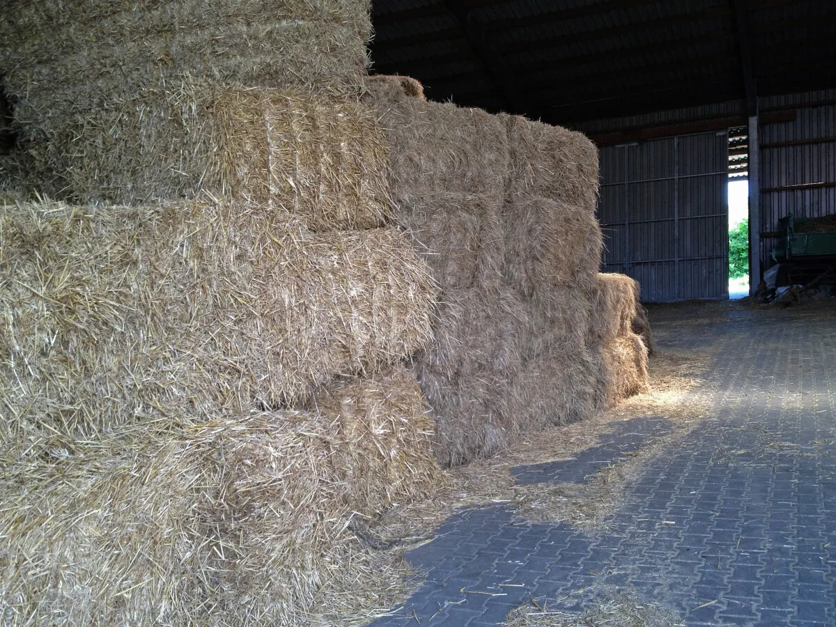 Photo 083-669-611