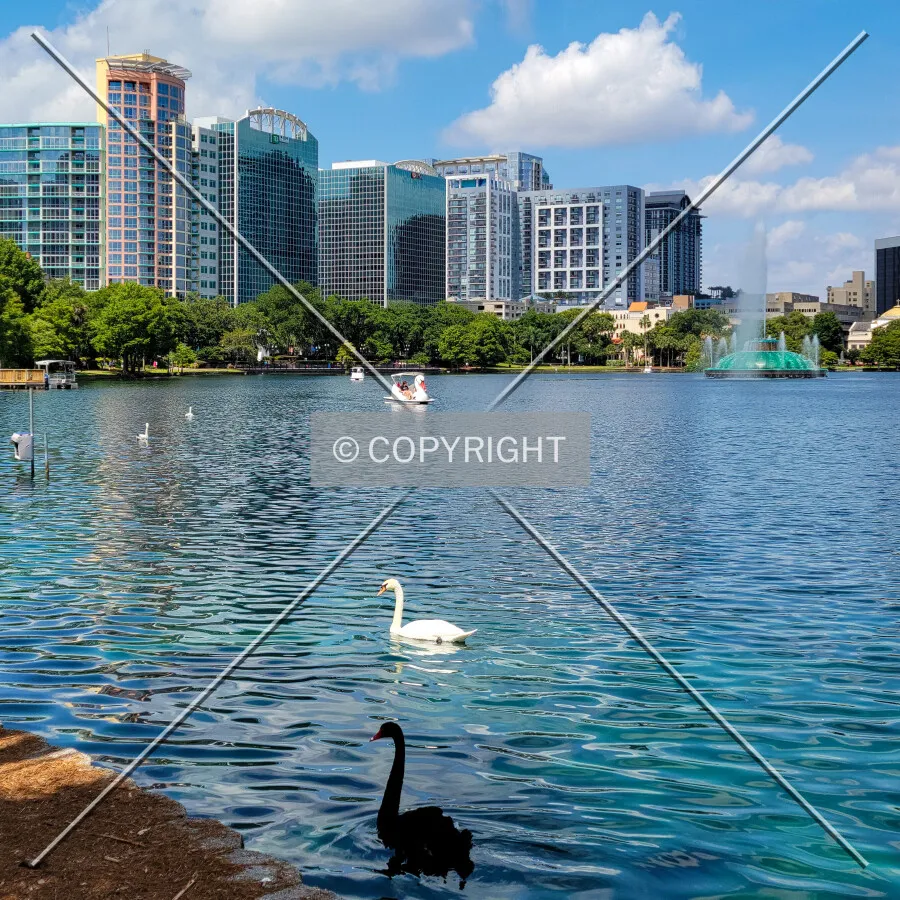 View across Lake Eola; May 29, 2021
