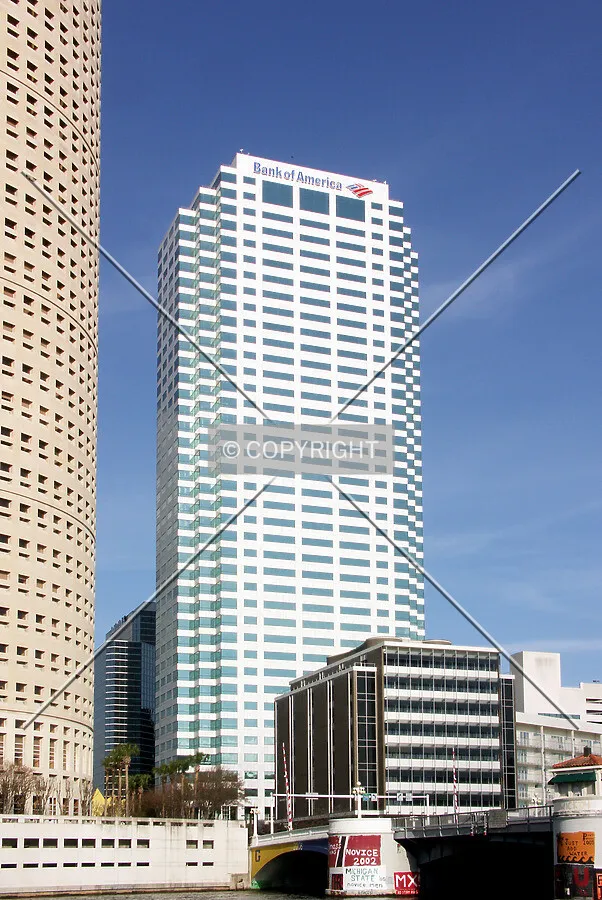 View from the west
