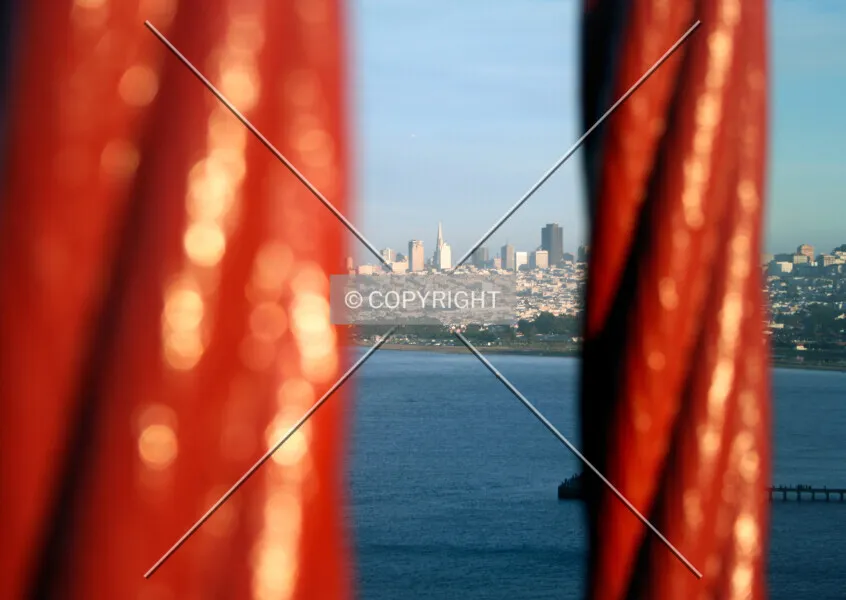 Photo 837-487-224