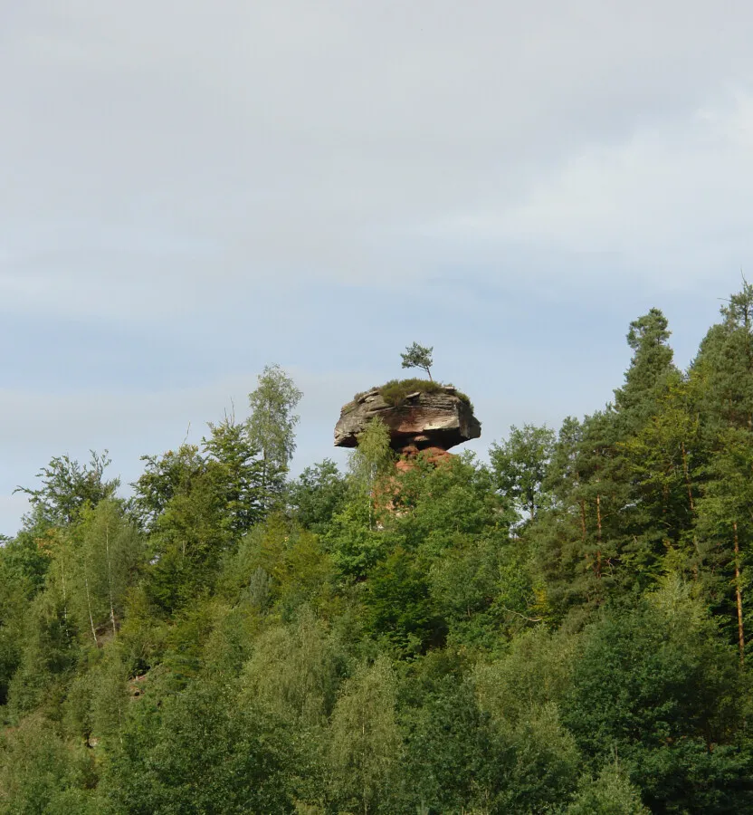 Photo 083-764-002