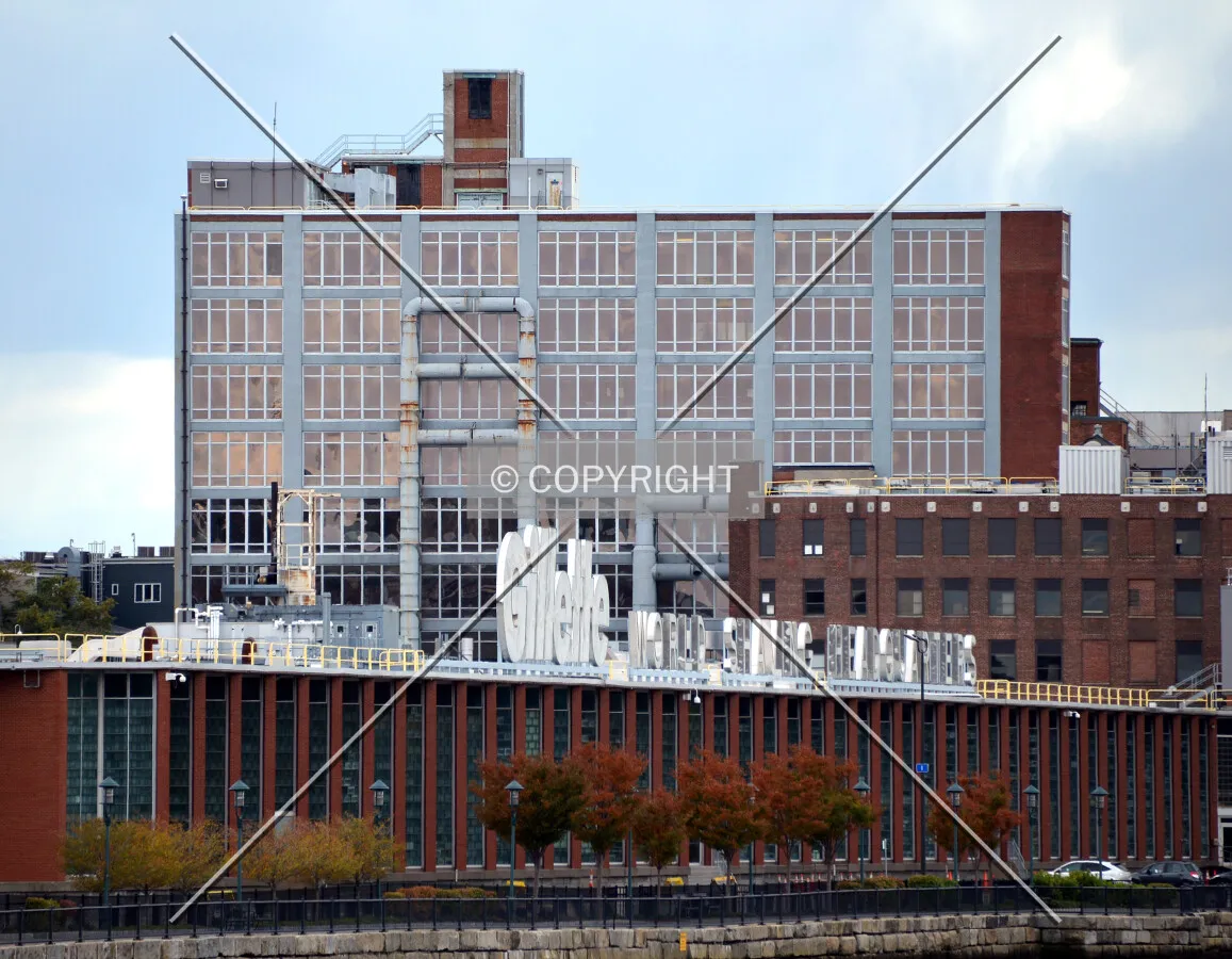 View from the northeast