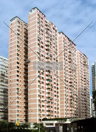 View of the south facing elevation from Greig Road