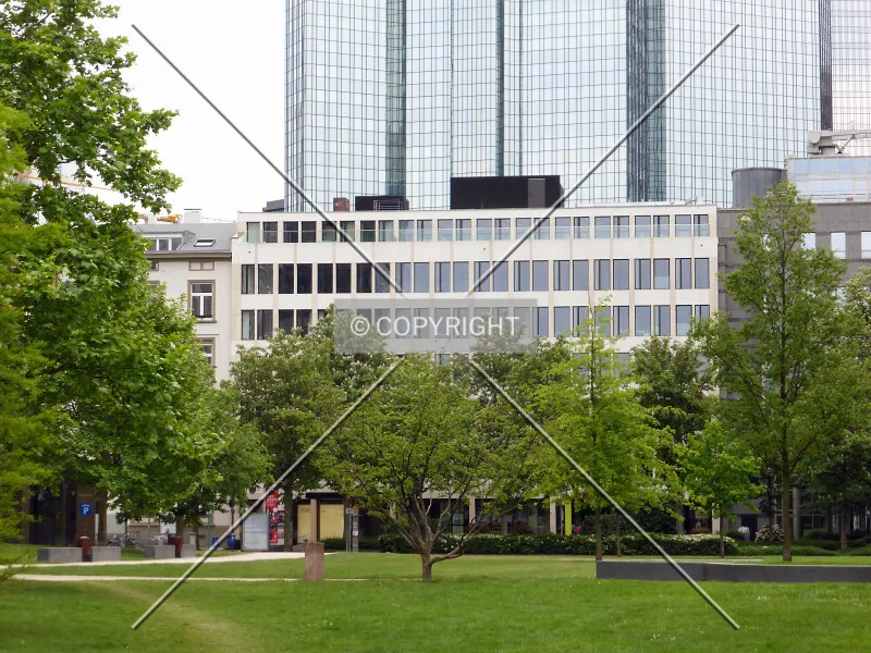 Photo 838-576-393