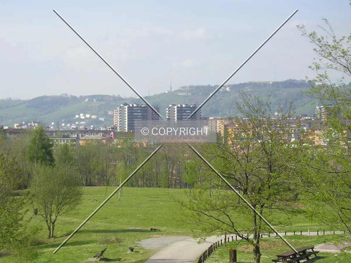 View from Ollargan Park