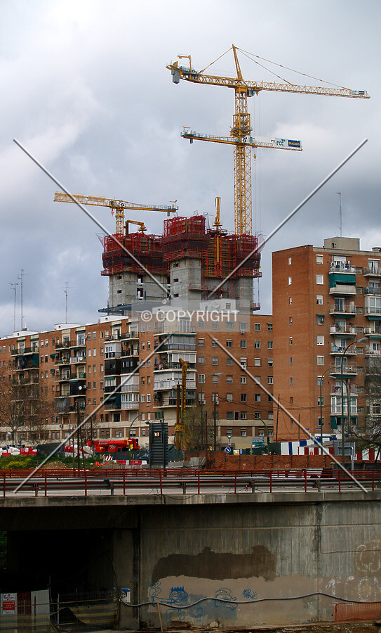 Starting to show among the surrounding buildings
