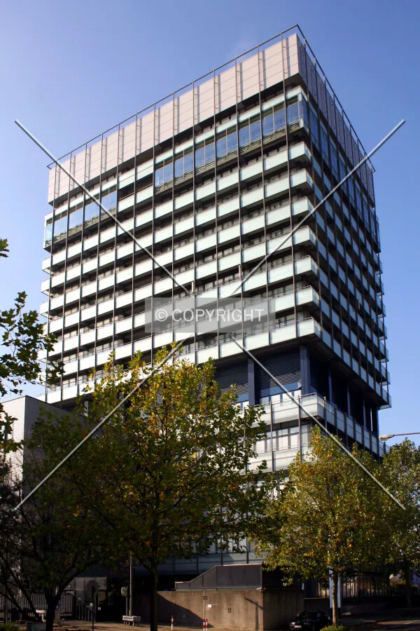 View from the southeast