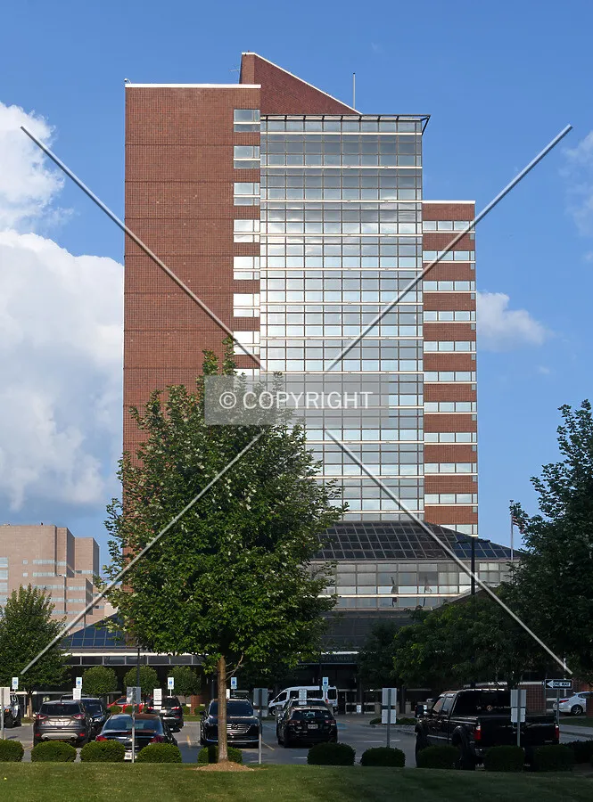 View from the east