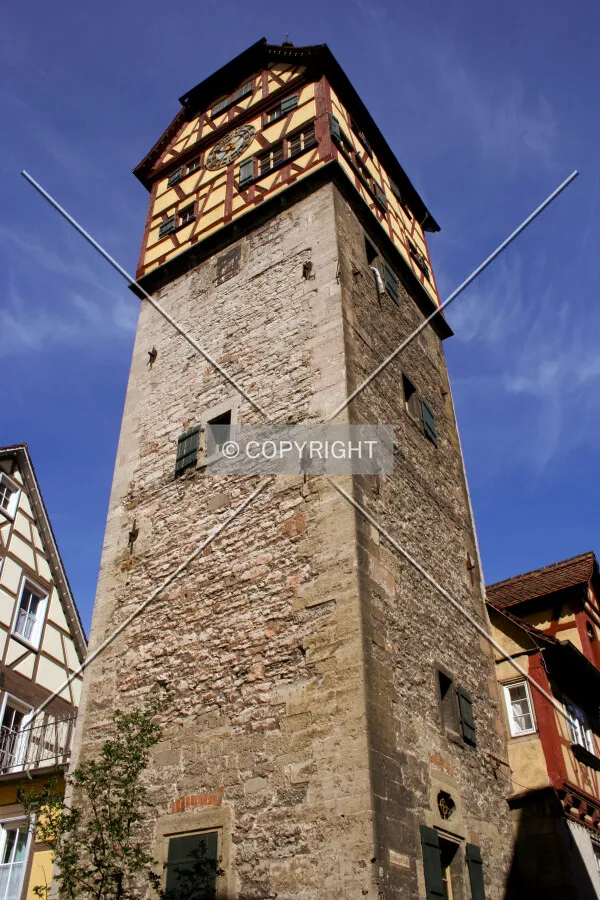 Looking up from the southeast