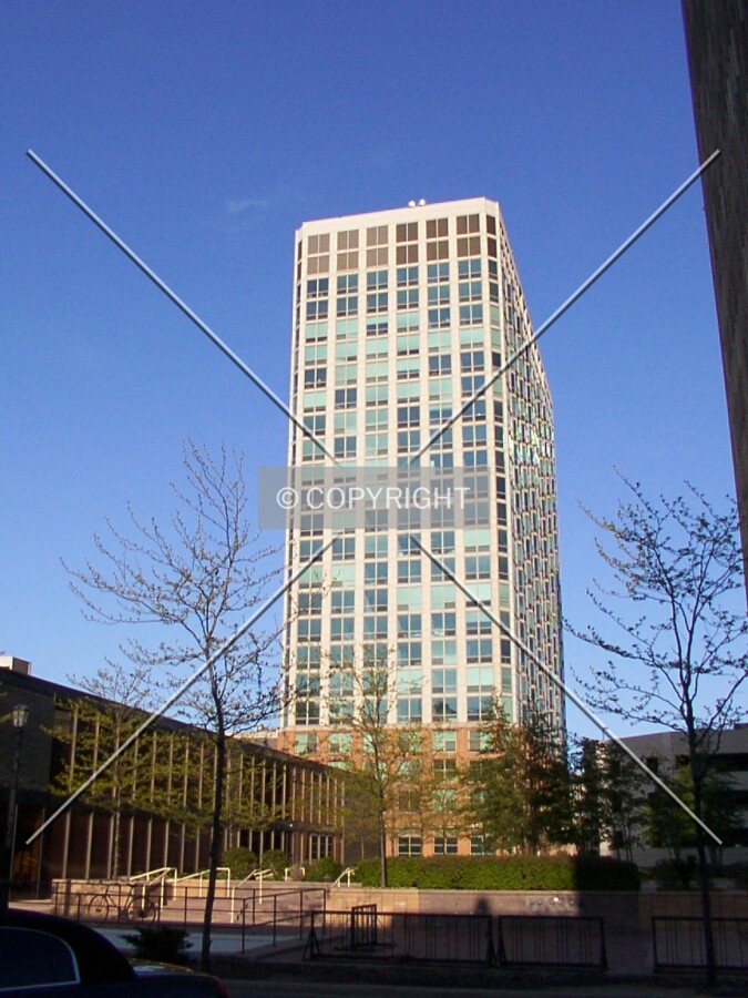 View from the west