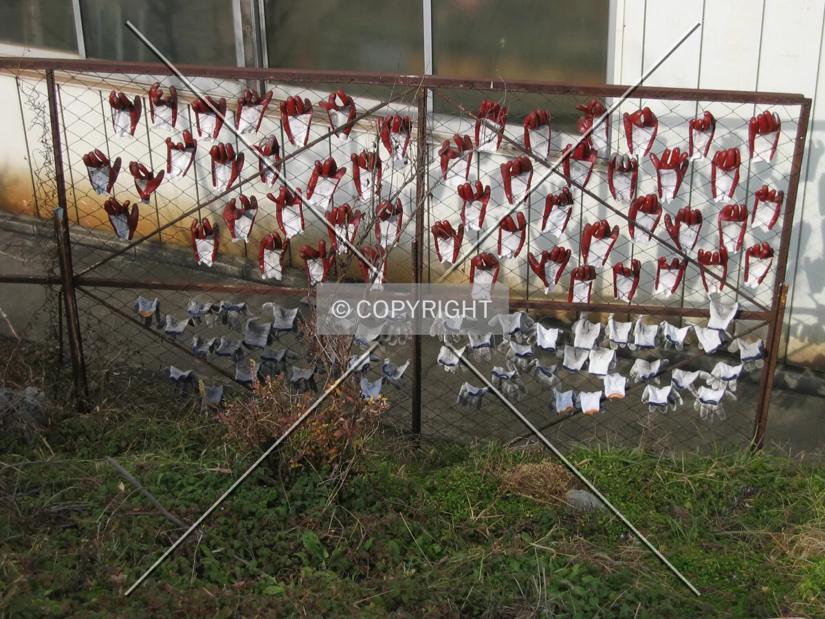 Photo 084-042-849