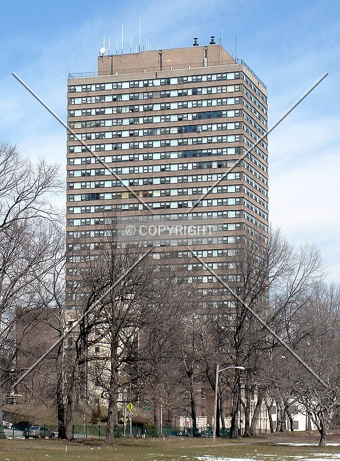 View from the west