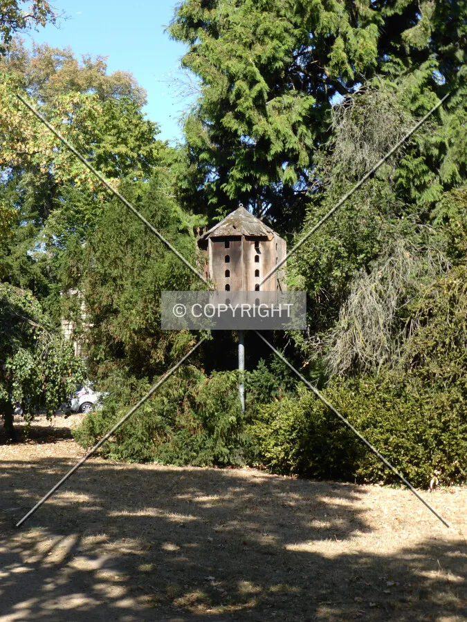 Photo 084-215-139