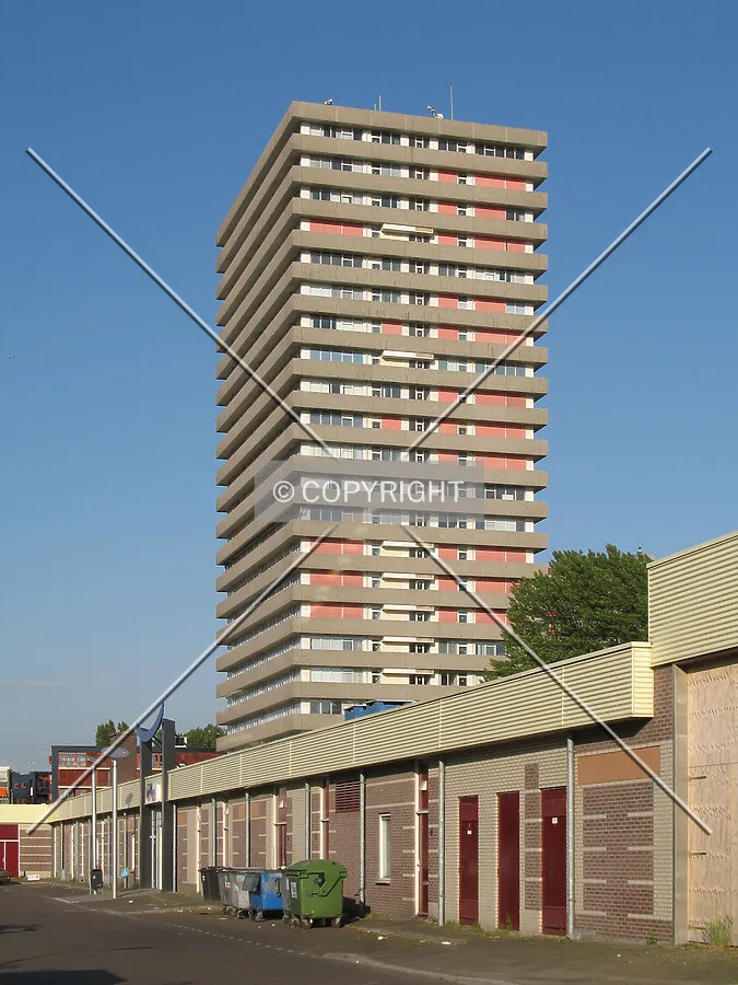 View from the west
