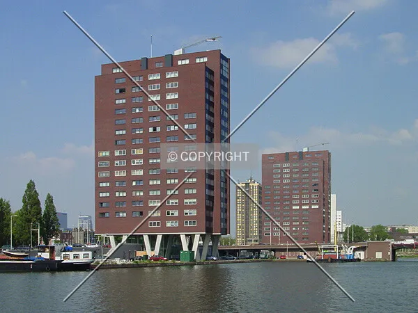 View from Coolhaven