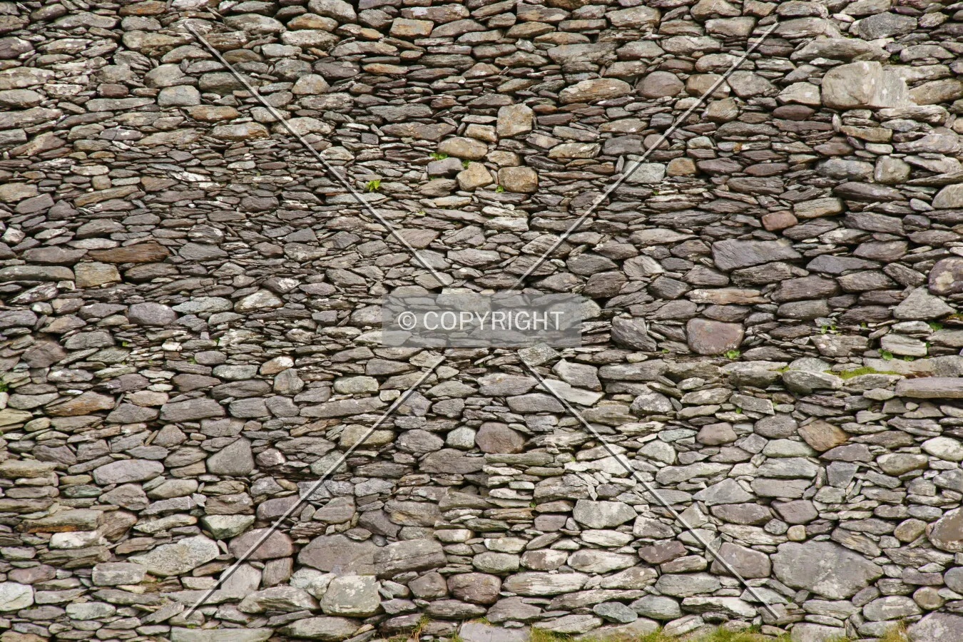 Photo 843-391-147