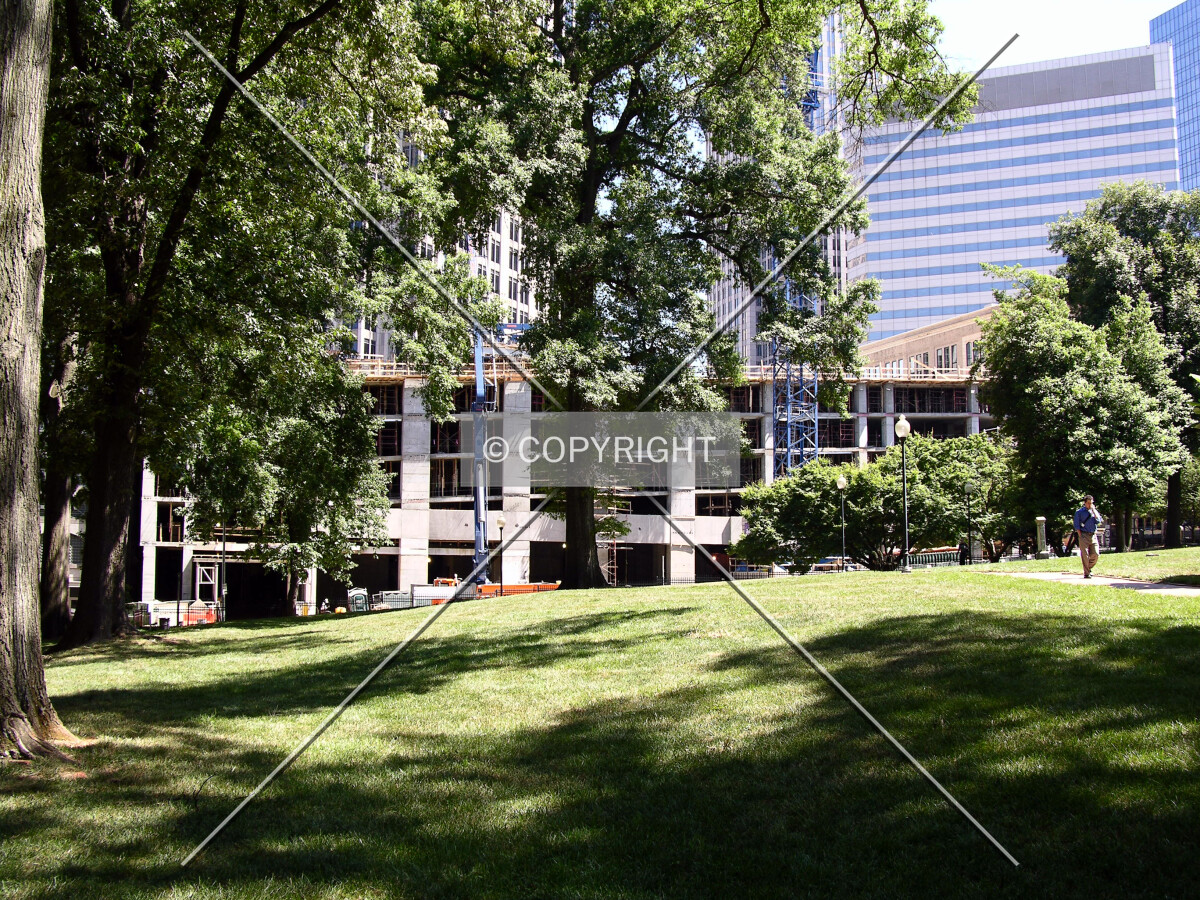 Looking east across Founders Park