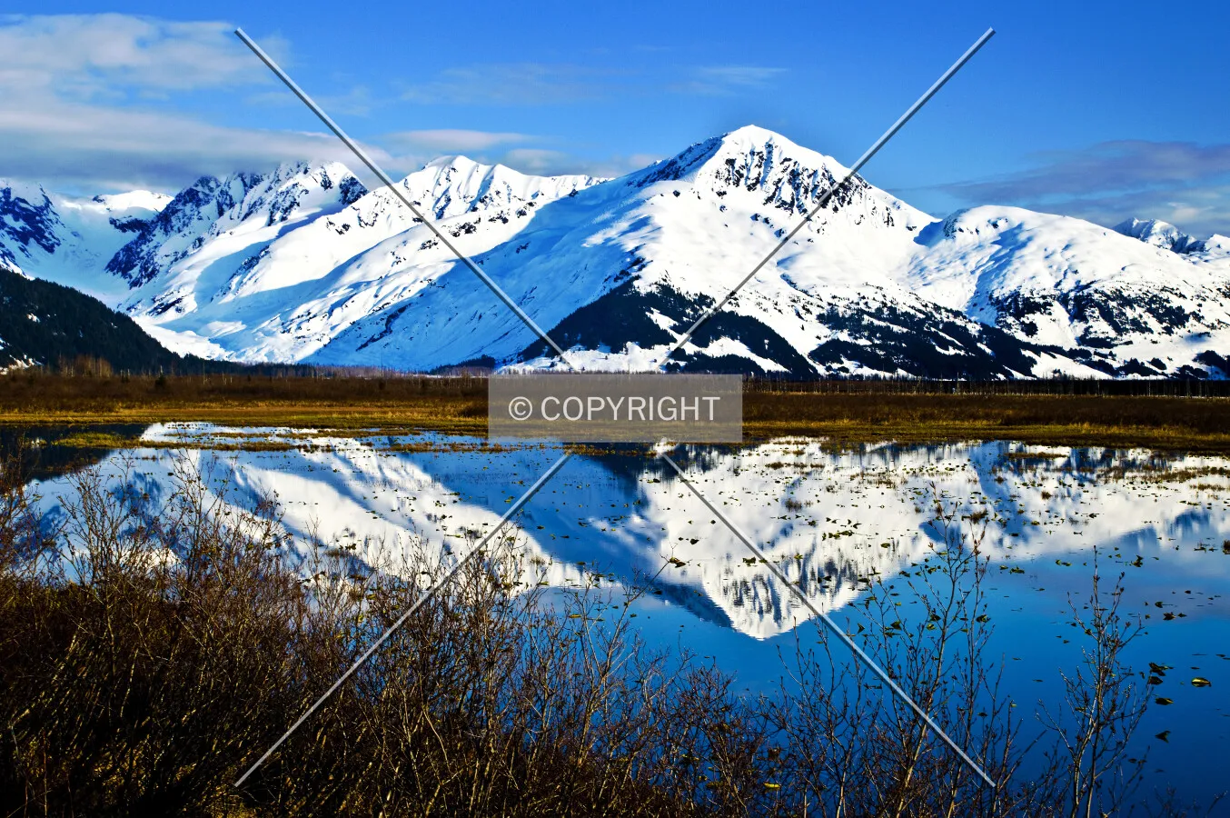 Kenai Mountains, Alaska, U.S.A.