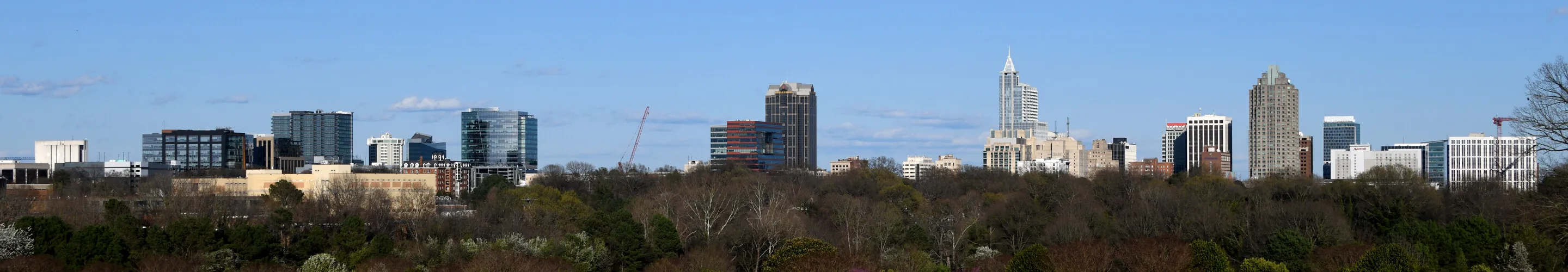 View from Dix Park to the southwest