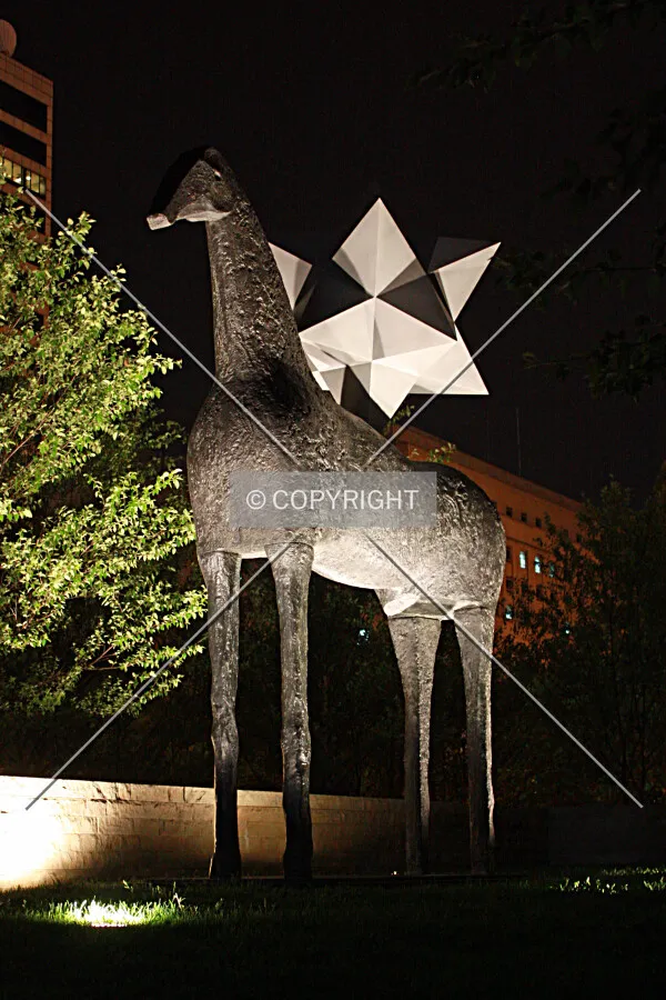 View from the northeast at night