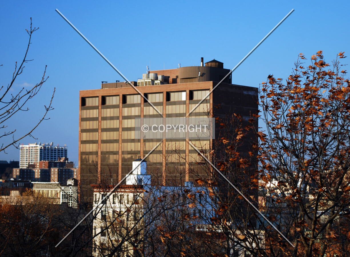 Viewed from Marcus Garvey Park