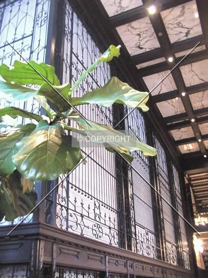 Ironwork and ceiling in lobby