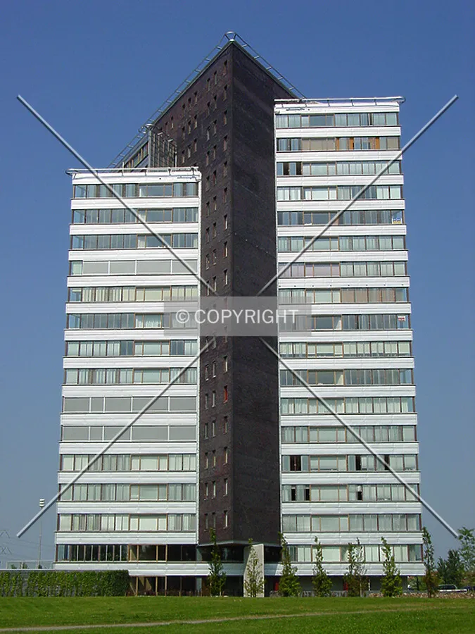 View from the south