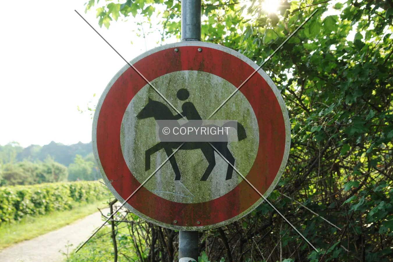 Horse riding prohibited