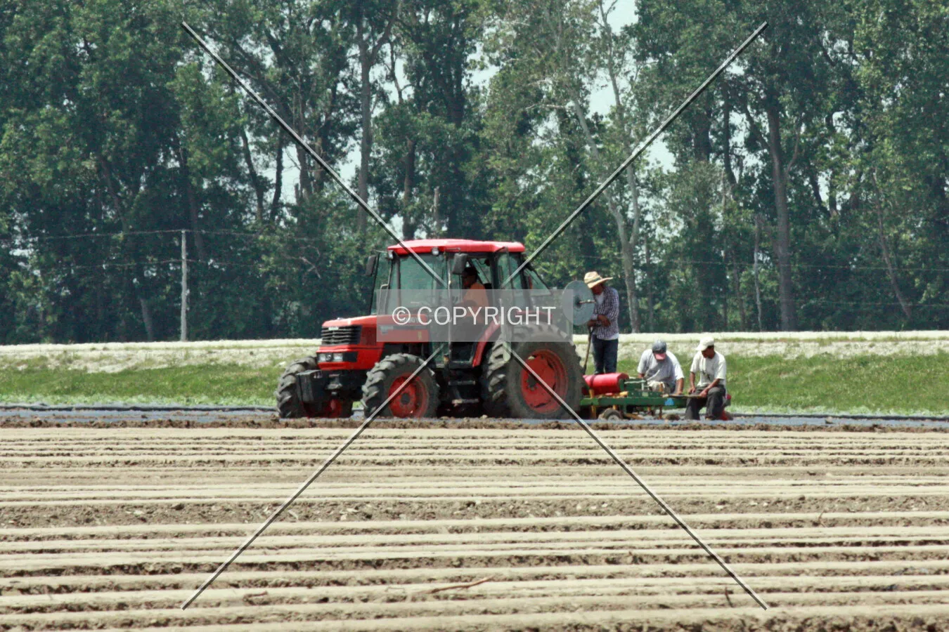 Workers in a field