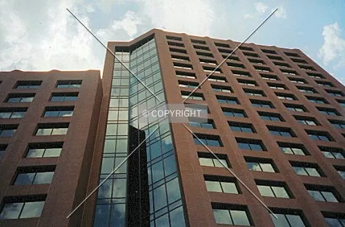 Looking up from the east