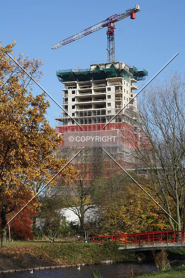 View from the south