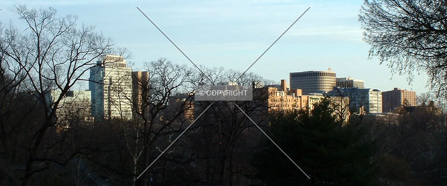 Skyline from the north across Brandywine Park