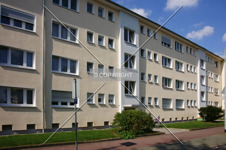 Photo 845-997-872