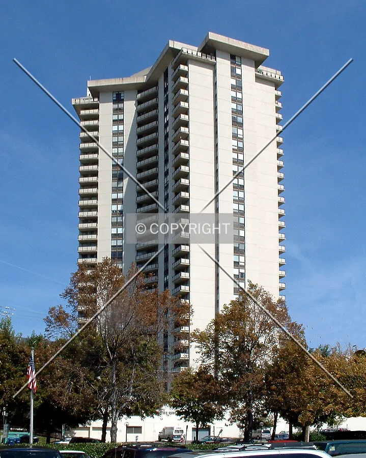 View from the south