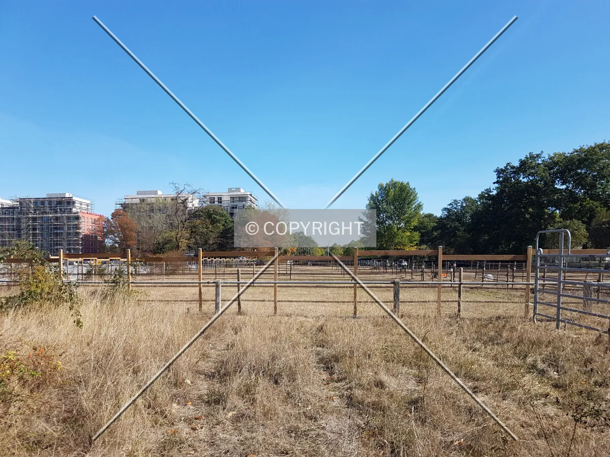 Paddocks for horses