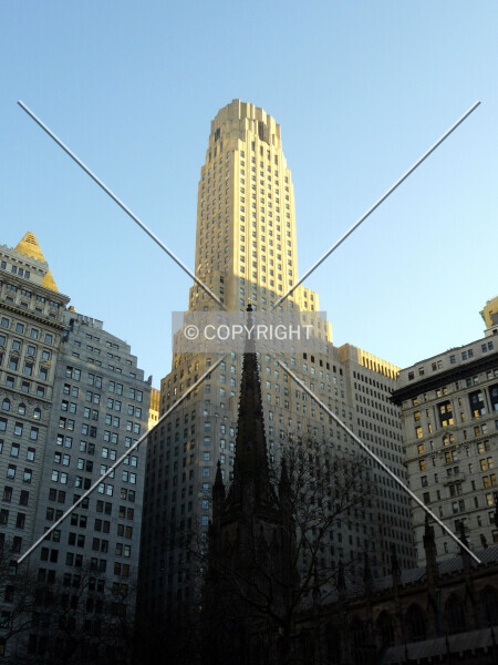 Photo 849-147-207