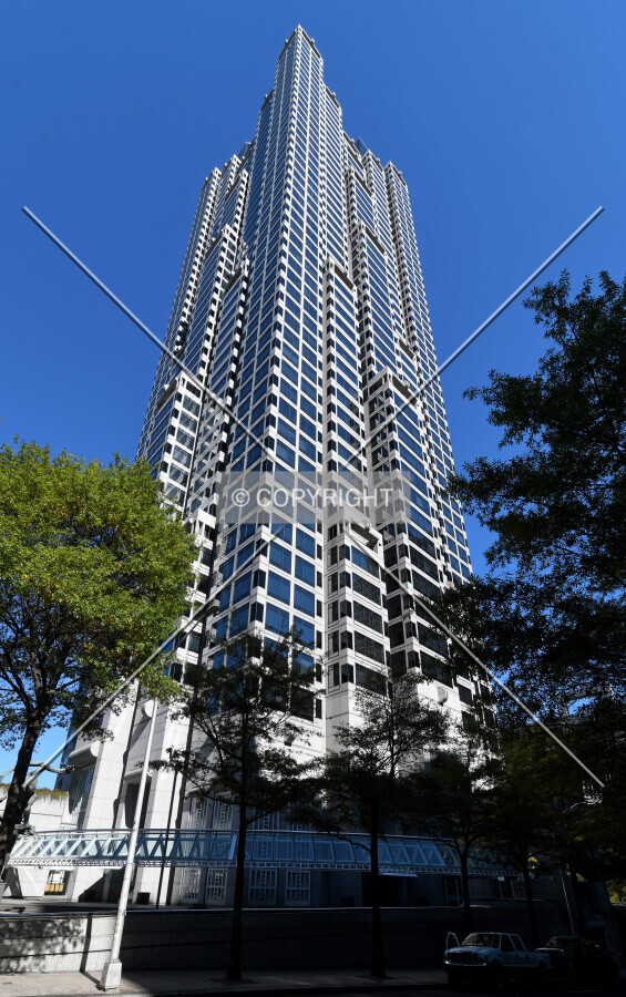 View from the southwest