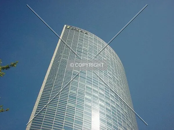 View to the top
