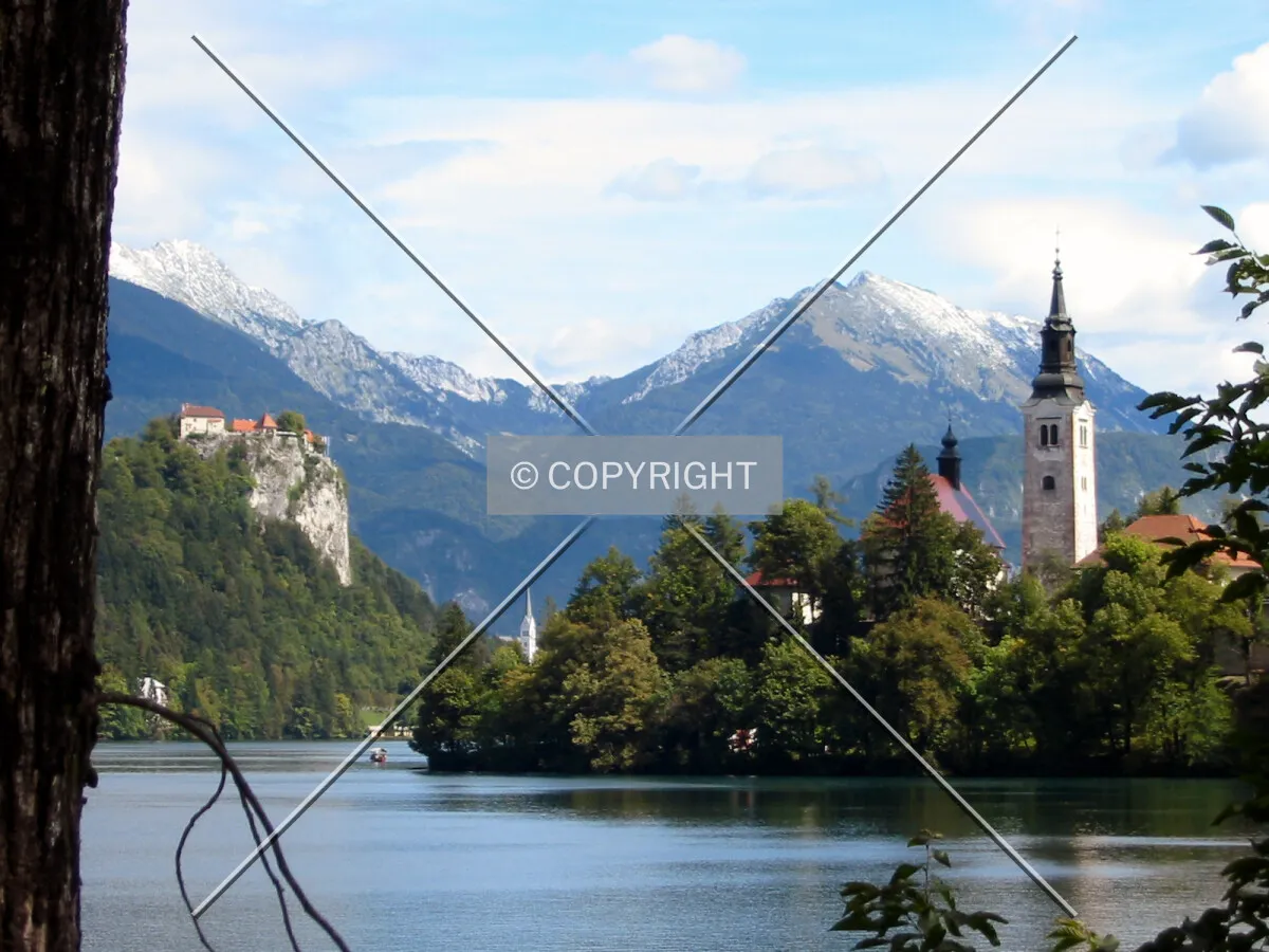 View through the trees towards Bled Island