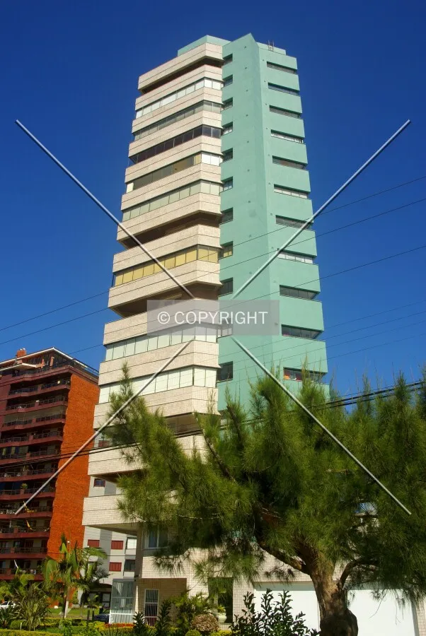 Looking up from across Silva Jardim Avenue