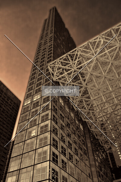 Photo 850-033-692