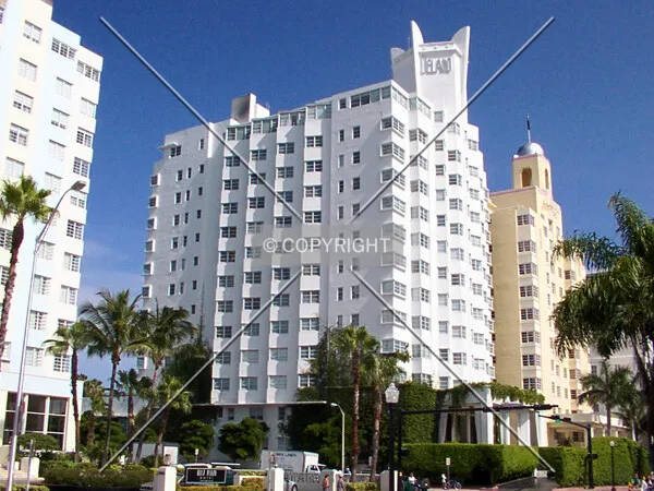 View from the north