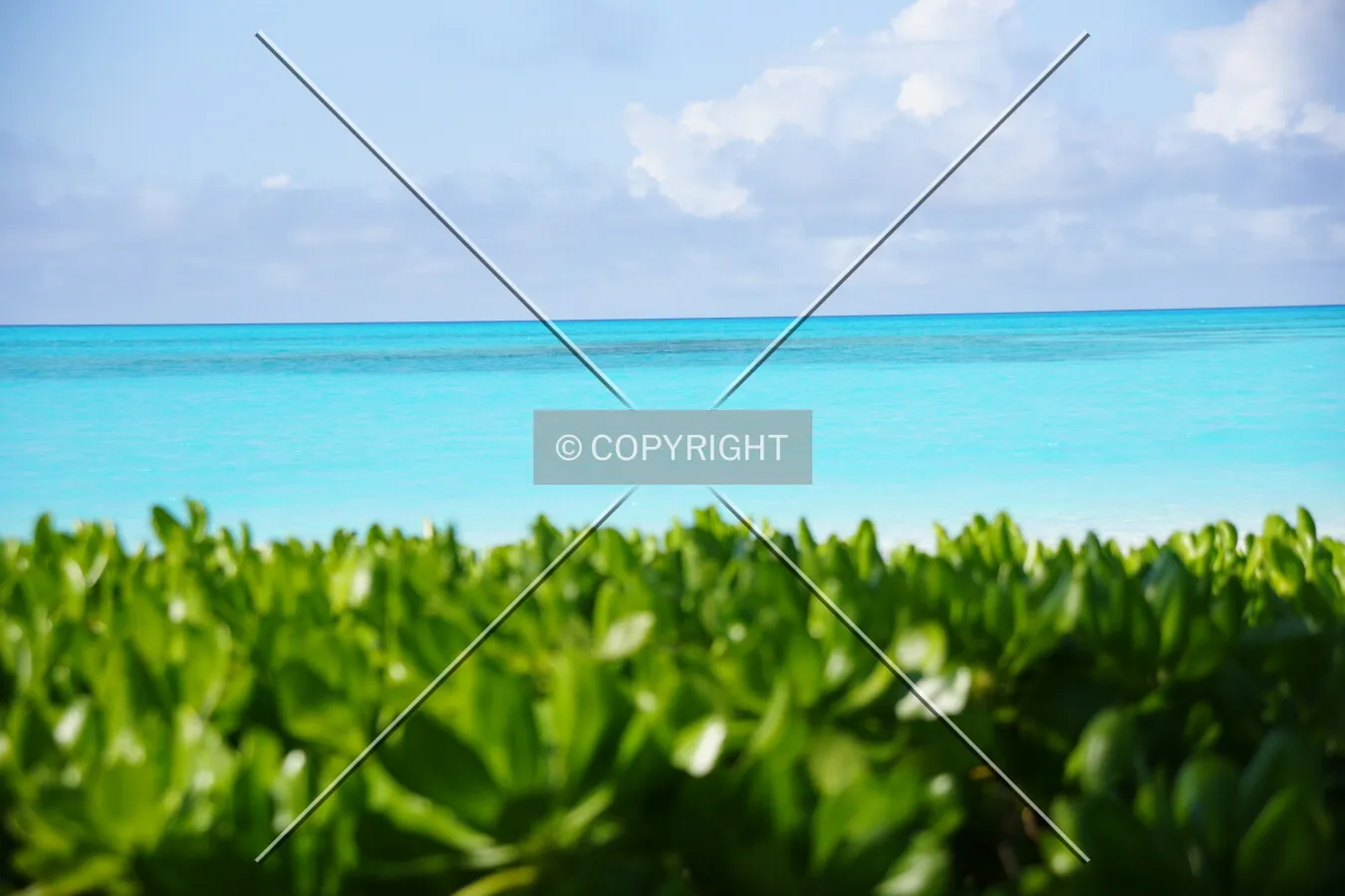 romantic beach on the Bahamas