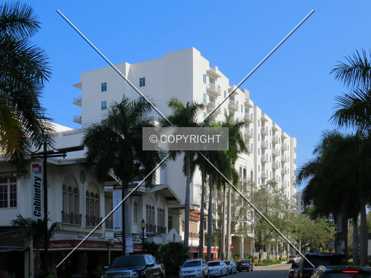 View to the southeast along Palm Avenue