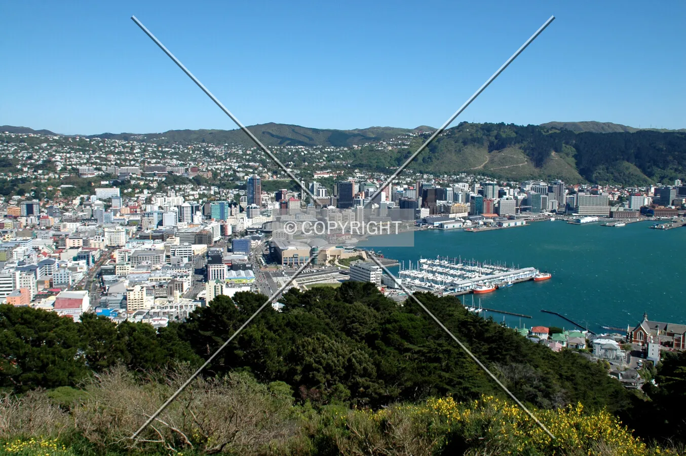 View from Mount Victoria