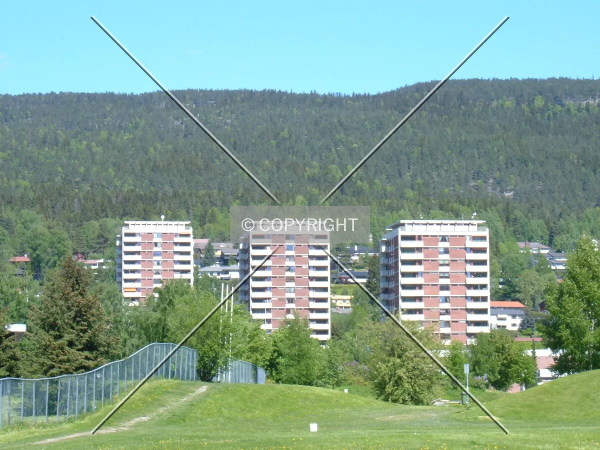 View from the south